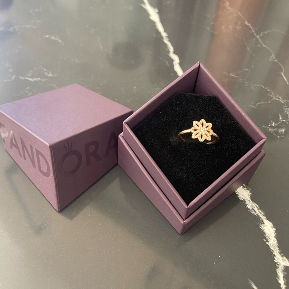 150182CZ-54
PANDORA 14K LACE BOTANIQUE CLEAR CZ RING - Picture 2 of 2